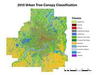 Twin Cities Metropolitan Area Urban Tree Canopy Assessment (2015)