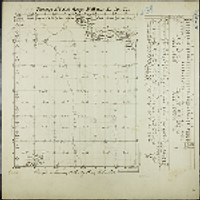 01N 03W - Survey Map of Hamlin Township, Eaton County [Michigan]